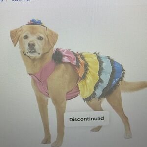 Colorful Dog Costume